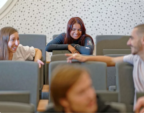 Tous les diplômes de l'IRTS
